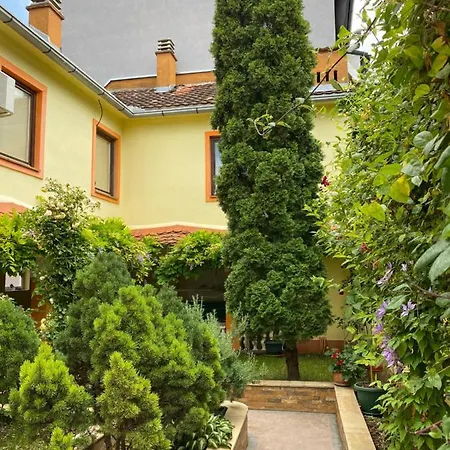 Rajin Vrsac