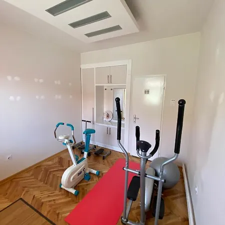 Apartment Rajin Vrsac