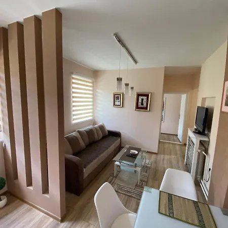 Apartment Rajin Vrsac