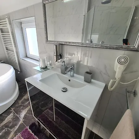 Rajin * ヴルシャツ